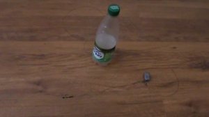 Обзор снасти. Ловля карпа, карася на бутылку.  Супер уловистая снасть. Ловля огромных карпов.