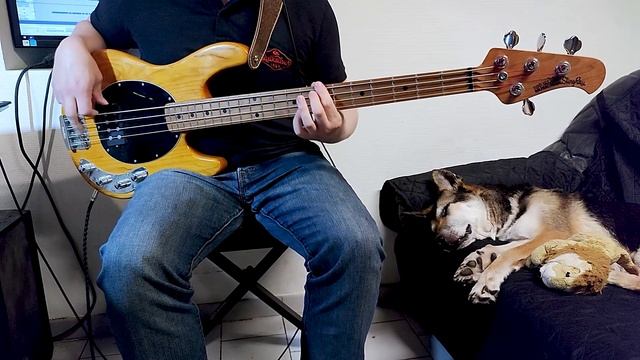 Arctic Monkeys - R U Mine? (Bass Cover) - Tabs in description смотреть онлайн