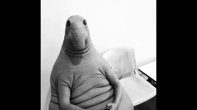 Прогнозирование завтрашнего дня