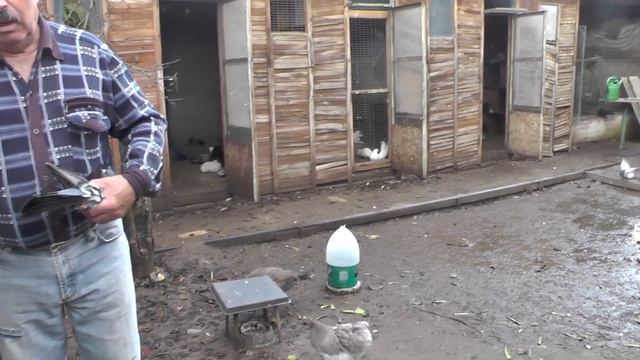 Внимание !Уважаемые зрители хачу порадовать вас и себ.... смотреть онлайн