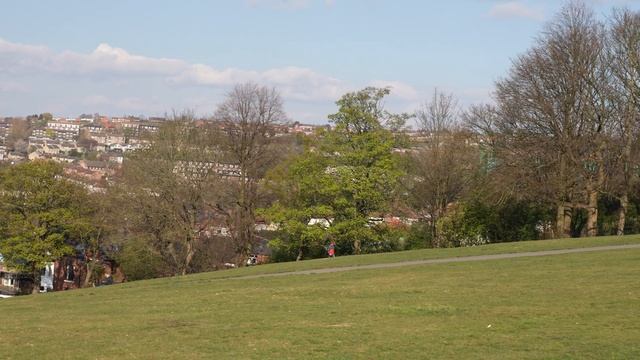 Sony Alpha 1 (A1) 4K 50fps Meersbrook Park Handheld Panning смотреть онлайн