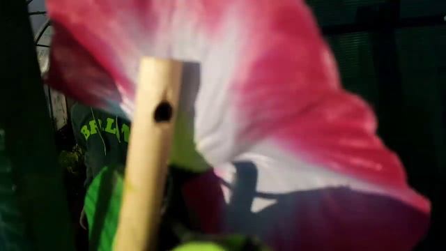 Хищный цветок смотреть почти с полным звуком смотреть онлайн