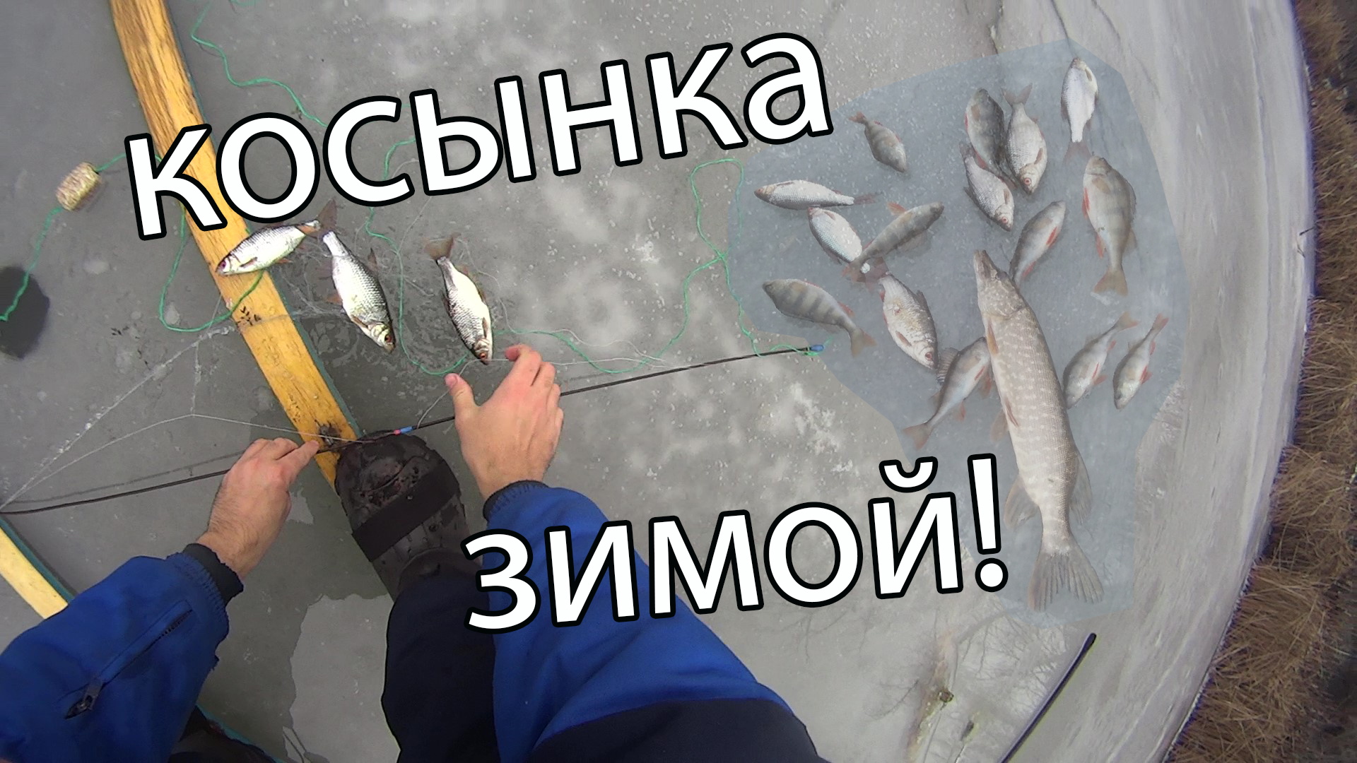 Рыбалка на косынки! на лыжах ставлю косынки! тонкий лёд! как поставить косынку зимой! косынки! смотреть онлайн