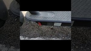 Установка сигнализации на электросамокат XIAOMI