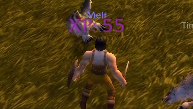 WoW CLASSIC Gameplay Tips [For New And Returning Players] смотреть онлайн
