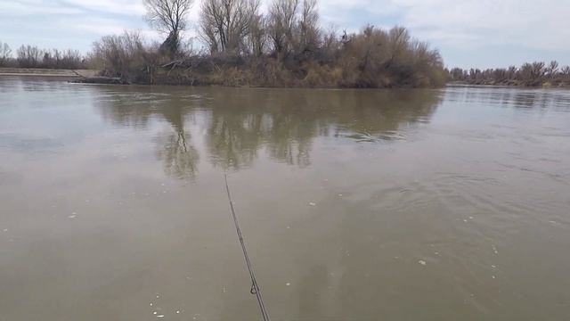 рыбалка 2021р. Каратал ловля жереха на спининг проводки как и на что ловить жереха Казахстан смотреть онлайн