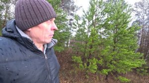 СНИМАЮ ЛОВУШКИ ПО ЛОВЛЕ РОЁВ, ПОПАЛИСЬ СИЛЬНЫЕ РОИ, ЛОВШКИ ТЯЖЁЛЫЕ. 3 Часть