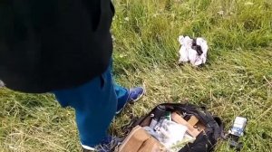 Ракетница ОСП-30 вкладыш 12 калибра длиной 150 мм тест стрельбы Часть-2