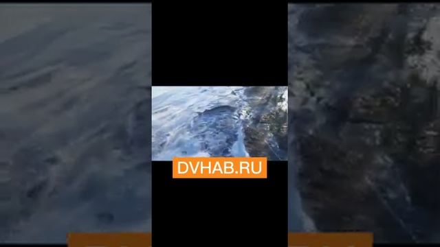 Десятки туш краснокнижной рыбы усыпали берег Хабаровского края смотреть онлайн
