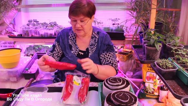 ОЧЕНЬ УРОЖАЙНЫЙ ПЕРЕЦ! СЕЮ КАЖДЫЙ ГОД! ПОСЕВ ПЕРЦА В УЛИТКУ. смотреть онлайн
