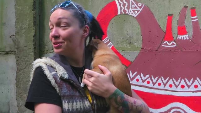 Уникалы / Unique People / artist: Rough Fly / art group VacciNation смотреть онлайн