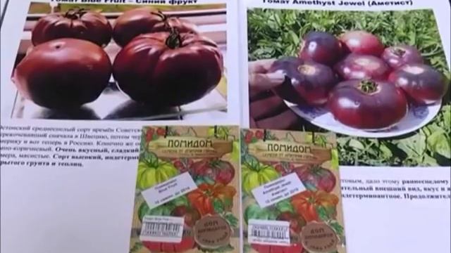 Черноплодные экзотические томаты смотреть онлайн