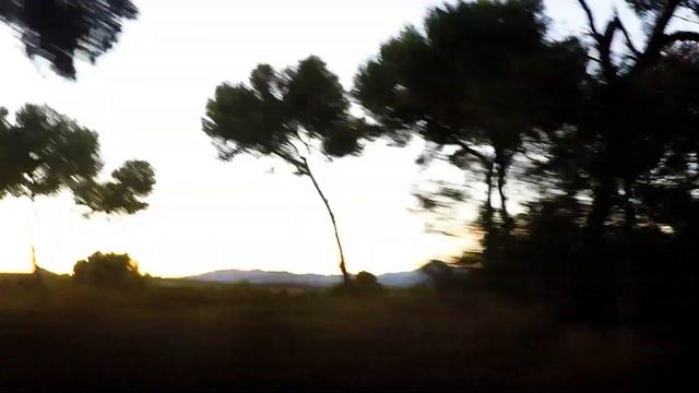 Майорка. Август 2017 смотреть онлайн