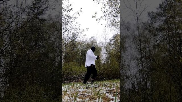 Северный ниндзя - Дятел на снеженном пне (15.05.2023) Nordlig ninja - Hakkespett på en snøstubb смотреть онлайн