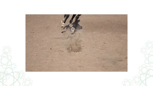 Schall: Begriff, Ausbreitung, Anwendung – Physik | Duden Learnattack смотреть онлайн