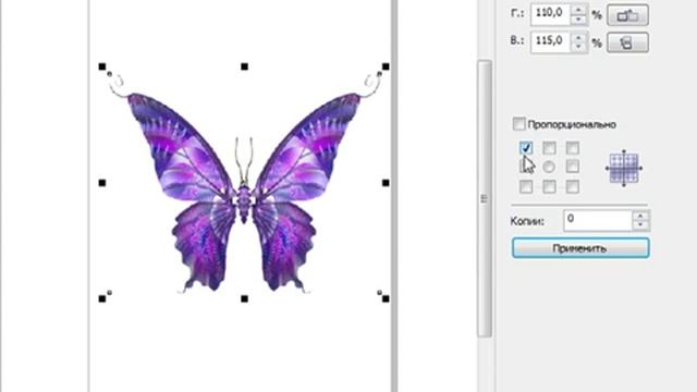Изменение размеров растровых изображений в CorelDraw смотреть онлайн