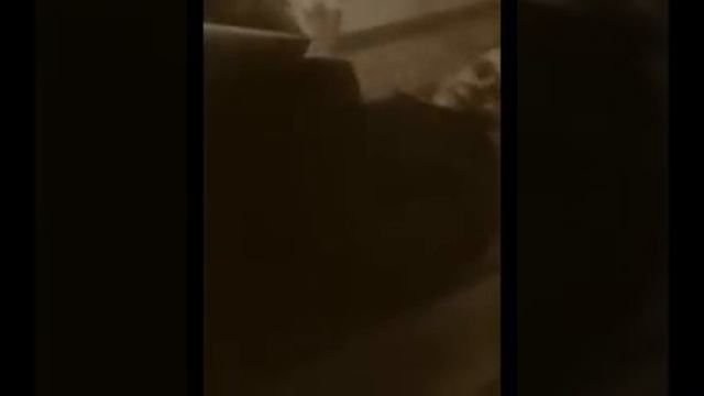 Влог: по маленьким прогулкам. И карточной игре в дурака. смотреть онлайн