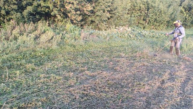 Загрузил бензокосу по полной. Леска крутиться - работа идёт. смотреть онлайн