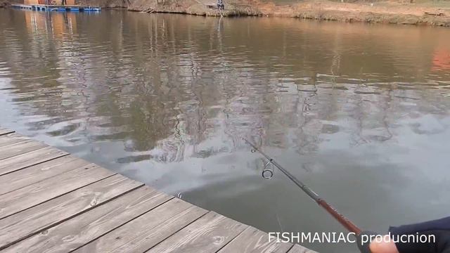 Ловля Форели. Trout NEO 6. FishManiac. Спиннинг. Дропшот. Платник. Trout Fishing. Dropshot. Spinnin