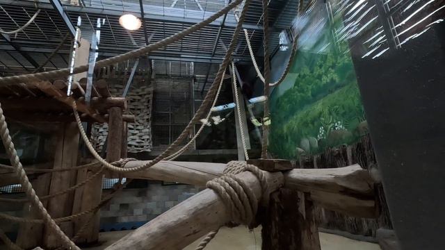 Калининград. Зоопарк. смотреть онлайн