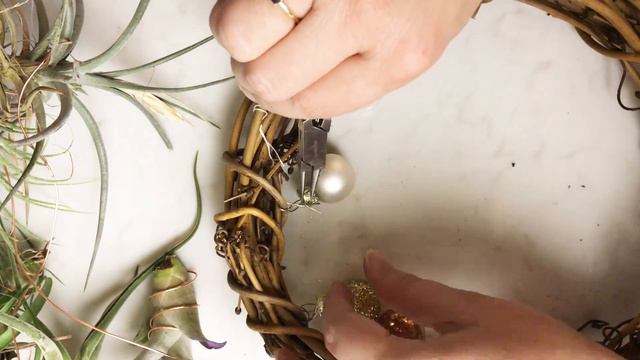 Plantmas #1: Tillandsia Winter Holiday Wreath & Room Decor смотреть онлайн