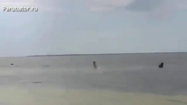 ОГРОМНАЯ АКУЛА ГНАЛАСЬ ЗА НЕЙ ДО САМОГО БЕРЕГА смотреть онлайн
