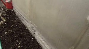 НУЖНО ЛИ ПОДКАРМЛИВАТЬ ЛУК   БАТУН ВЕСНОЙ И ЧЕМ  Видеоурок Ольги Черновой 30 марта