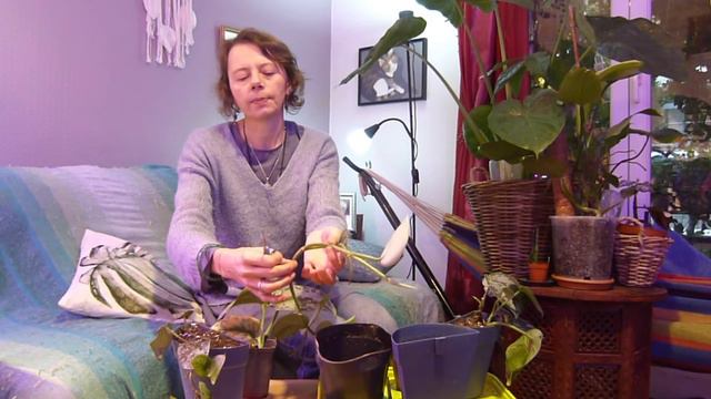 #20. Création d'un mur végétal dans ma salle de bains 🍀🌷🌵🌻🌴 смотреть онлайн