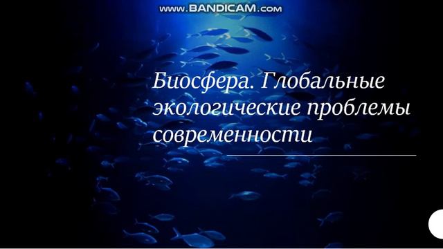 Рациональное использование природных ресурсов. Лекция 1 смотреть онлайн