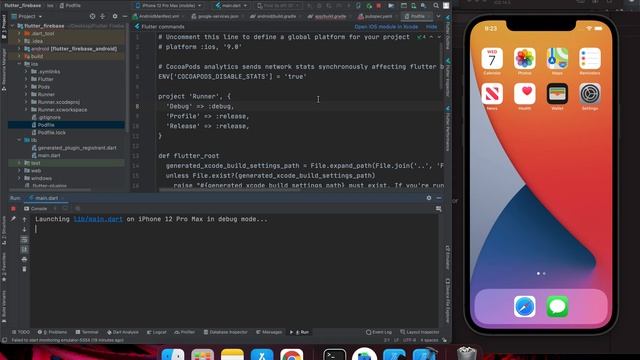 3. Flutter Firebase - Config Firebase with IOS and solve error смотреть онлайн
