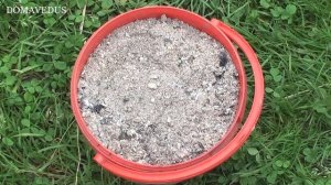 Плесень на Рассаде - Что Делать и Как Избавиться от Плесени. Плесневеет Земля в Рассаде.