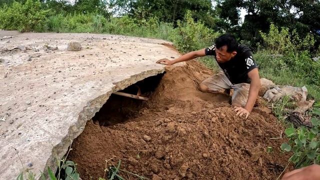 2 Brave Hunters Surrounded The Giant Python смотреть онлайн