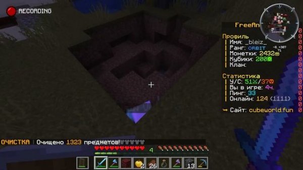 Серия 3. Заработок монет на анархии (cubeworld)