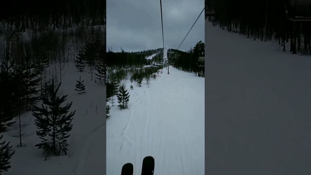 Завьялиха 5 марта #завьялиха смотреть онлайн