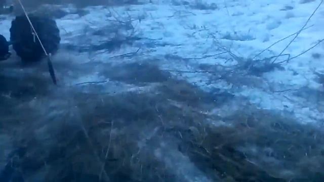 Пачегы катаются га квадреки смотреть онлайн