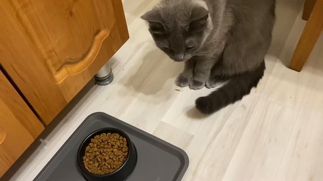 Сухой корм Perfect Fit смотреть онлайн