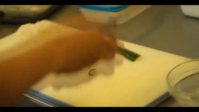 Гункан суши с икрой и лососем.avi смотреть онлайн