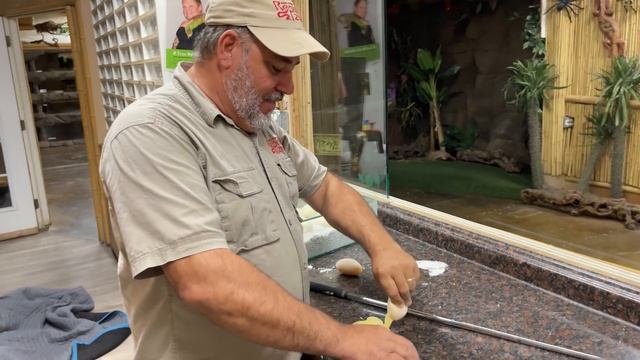 (SNAKE ATTACK) ? EVERYTHING WENT WRONG смотреть онлайн