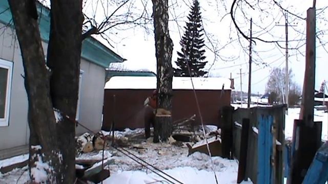 Валка дерева от корня, с оттяжкой полиспастом... смотреть онлайн