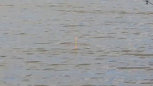 Рыбачки байкеры ,осенняя рыбалка смотреть онлайн