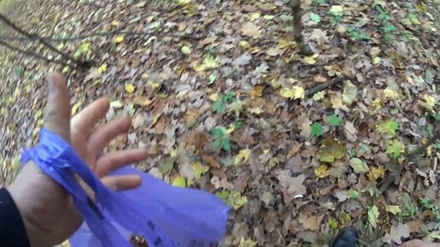 Грибы в ноябре смотреть онлайн