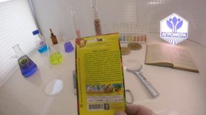 Томат Настена F1. Аэлита