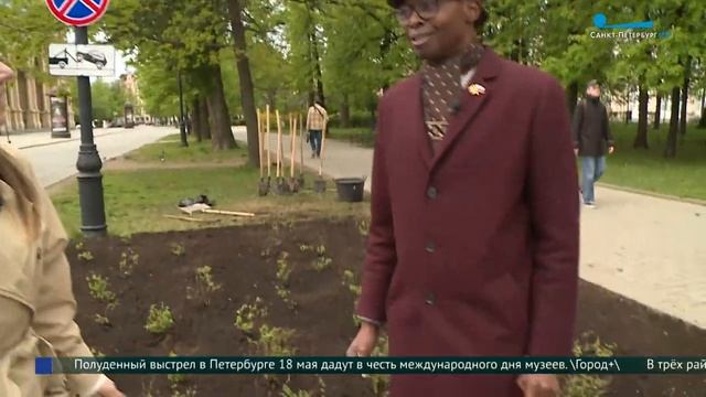 Новые кустарники в Александровском парке смотреть онлайн
