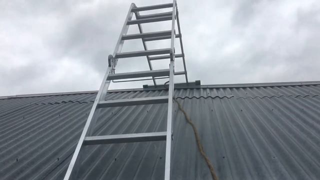 Чистота с умом