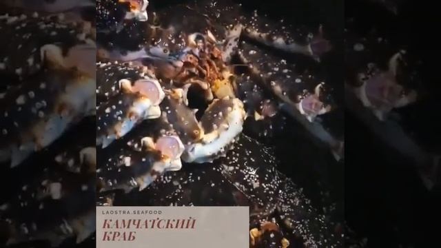 Поступление ЖИВОГО камчатского краба в Москве смотреть онлайн