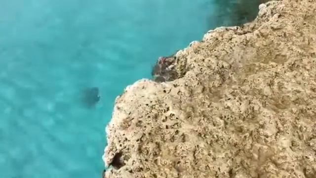 Екатерина Аввакумова (Кипр, апрель 2017) смотреть онлайн