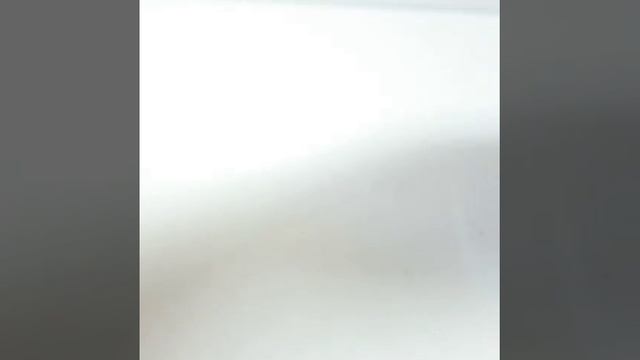 Видео №533295 смотреть онлайн
