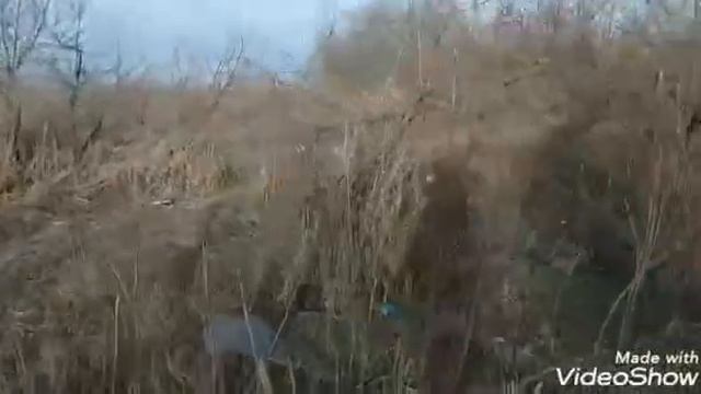 Береговой патруль на Кривой балке смотреть онлайн