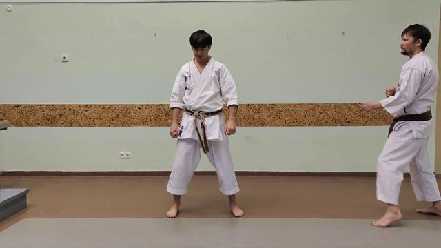 Heian Sandan Kata Effective Bunkai (full Kata)