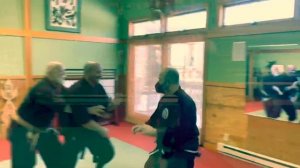 To-Shin Do Seniors Takagi Yoshin Ryu Randori